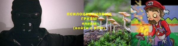 гашик Балахна