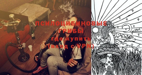 гашик Балахна